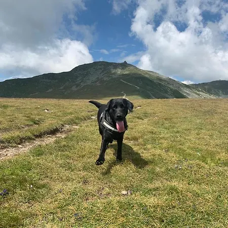 Apartamento Graf Prebl