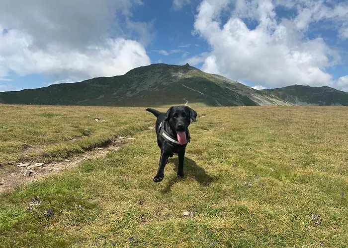 Apartamento Graf Prebl